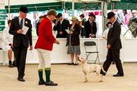Great_Yorkshire_Show_Morning_Classes_14th_July_2015_020