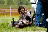 Cottesmore_Open_Day_Terriers_8th_June_2013_.010