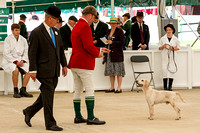 Great_Yorkshire_Show_Morning_Classes_14th_July_2015_019