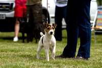 Cottesmore_Open_Day_Terriers_8th_June_2013_.015