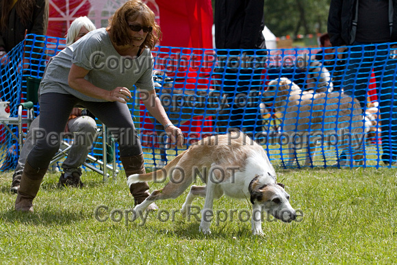 Dogs_Unleashed_Sat_Have_a_Go_22nd_June_2013_.0829