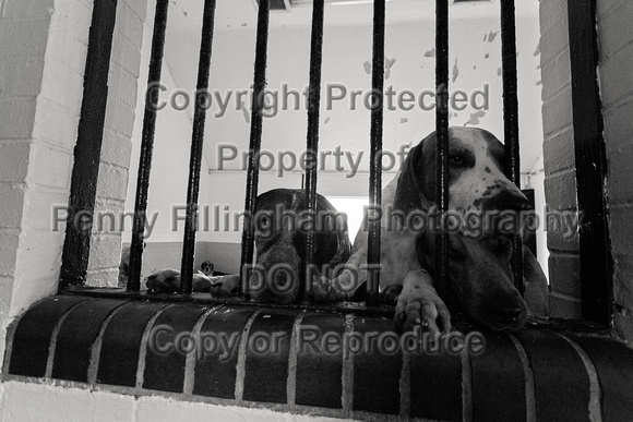 Quorn_Kennels_29th_Oct_2021_002