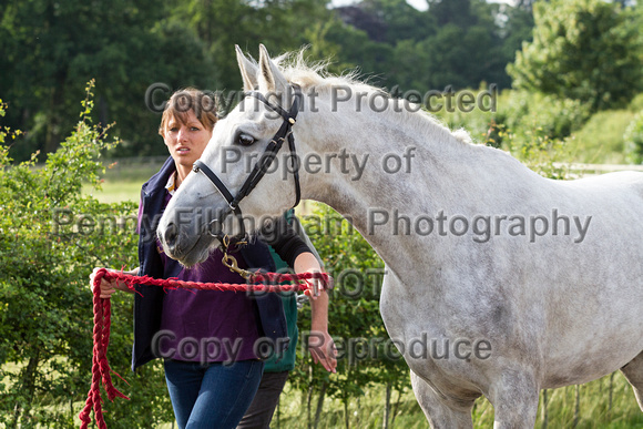 Grove_and_Rufford_Lower_Hexgreave_21st_June_2016_011