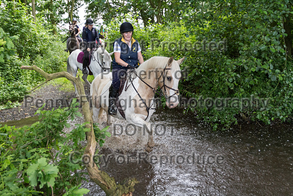 Grove_and_Rufford_Lower_Hexgreave_21st_June_2016_153