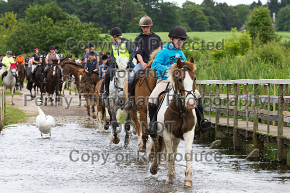 Grove_and_Rufford_Ride_Bothamsall_17th_June_2014.137