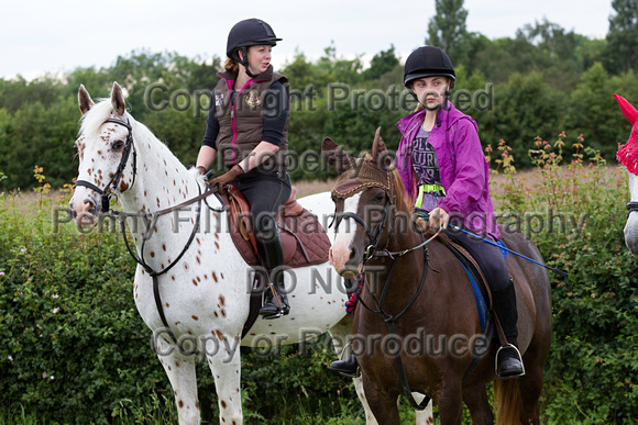 Grove_and_Rufford_Ride_Bothamsall_17th_June_2014.006