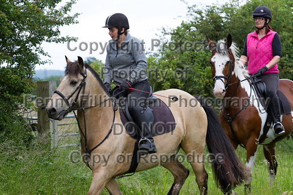 Grove_and_Rufford_Ride_Bothamsall_17th_June_2014.086