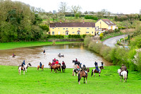 Four Shires Bloodhounds, Skegby (3rd April 2024)