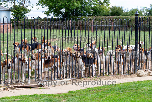 Quorn_Kennels_July_2020_002
