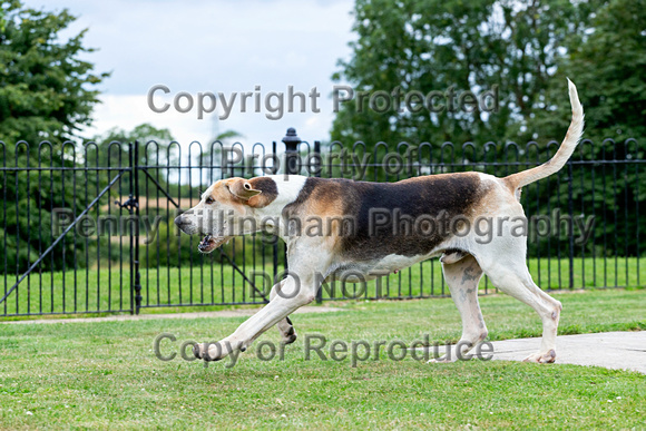 Quorn_Kennels_July_2020_014