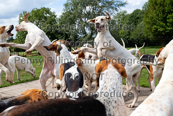 Quorn_Kennels_July_2020_120