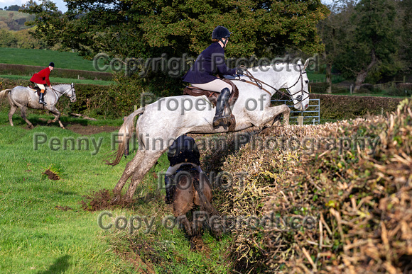 Quorn_Hickling_Pastures_28th_Oct_2019_615