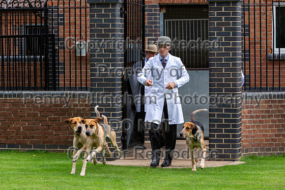 Quorn_Puppy_Show__30th_July_2021_031