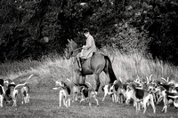 South_Notts_Hound_Exercise_Kennels_16th_Aug_2024_009