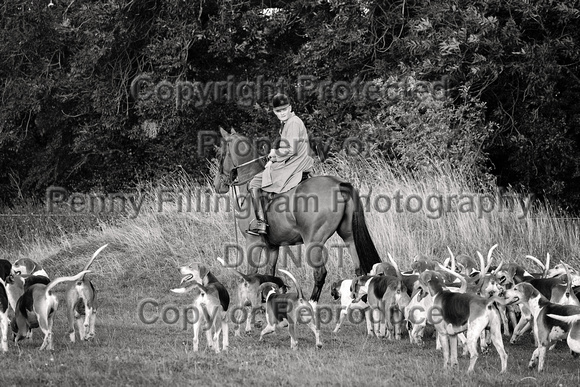 South_Notts_Hound_Exercise_Kennels_16th_Aug_2024_009