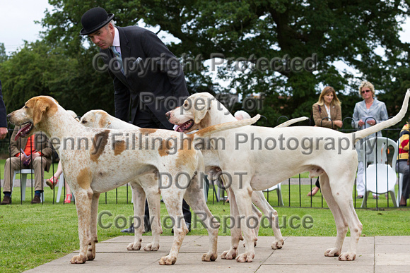 Grove_and_Rufford_Puppy_Show_14th_June_2014.068