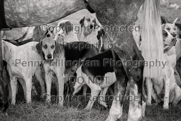 Quorn_Tilton_on_the_Hill_11th_Oct_2024_003