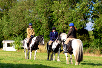 South_Notts_Hound_Exercise_Kennels_16th_Aug_2024_001