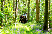 Quorn Bluebell Ride, Quorn (7th May 2022)