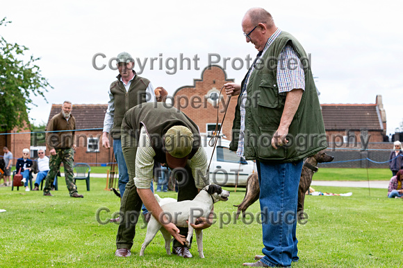 Quorn_Open_Day_19th_June_2022_023