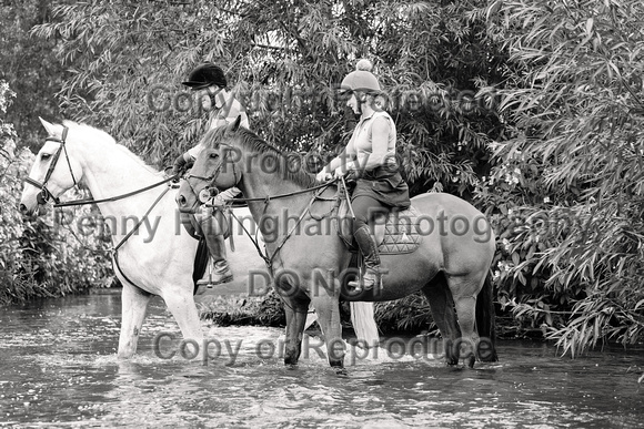 Grove_and_Rufford_Ride_Edwinstowe_13th_July_2024_010