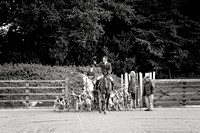 Quorn_Woodhouse_Eaves_9th_Nov_2021_002
