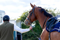 South_Notts_Hound_Exercise_Kennels_23rd_Aug_2024_003