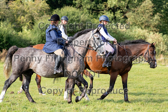 South_Notts_Hound_Exercise_Kennels_23rd_Aug_2024_009