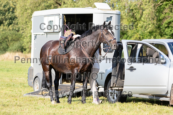 South_Notts_Hound_Exercise_Kennels_23rd_Aug_2024_001