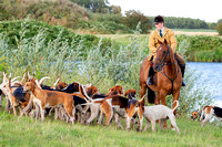 South Notts Mounted Hound Exercise, Hoveringham (9th Aug 2024)