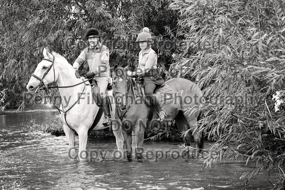 Grove_and_Rufford_Ride_Edwinstowe_13th_July_2024_006