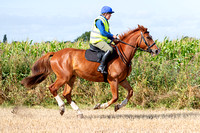 Grove_and_Rufford_Ride_Westwoodside_25th_Aug_2024_003