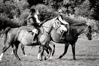 South_Notts_Hound_Exercise_Kennels_23rd_Aug_2024_009