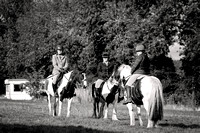 South_Notts_Hound_Exercise_Kennels_16th_Aug_2024_001