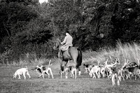 South_Notts_Hound_Exercise_Kennels_16th_Aug_2024_010