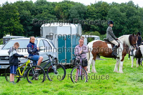South_Notts_Hound_Exercise_Kennels_3rd_Aug_2024_003