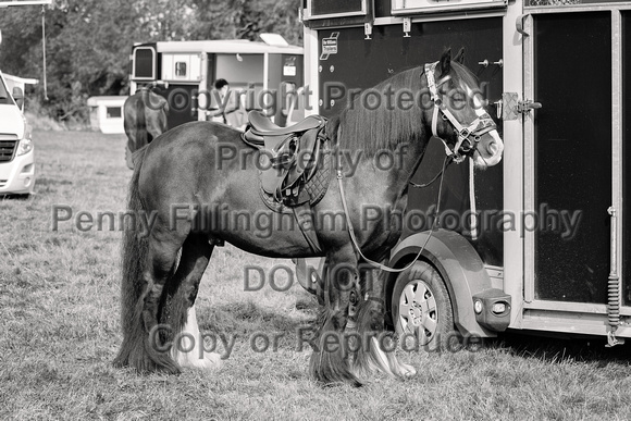 South_Notts_Hound_Exercise_Kennels_31st_Aug_2024_002