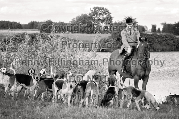 South_Notts_Hound_Exercise _Hoveringham _9th_Aug_2024_007