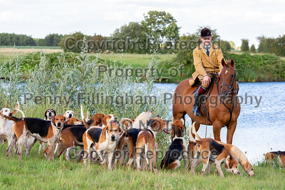 South_Notts_Hound_Exercise _Hoveringham _9th_Aug_2024_007