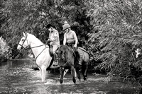 Grove_and_Rufford_Ride_Edwinstowe_13th_July_2024_007