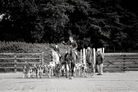 Quorn_Woodhouse_Eaves_9th_Nov_2021_003