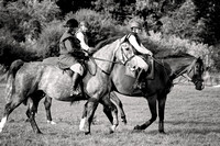 South_Notts_Hound_Exercise_Kennels_23rd_Aug_2024_010