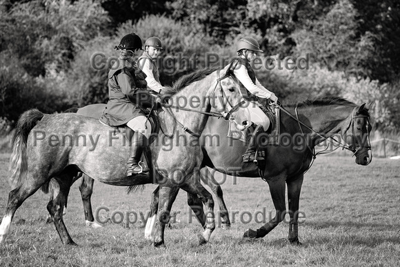 South_Notts_Hound_Exercise_Kennels_23rd_Aug_2024_010