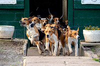 South_Notts_Hound_Exercise_Kennels_5th_Oct_2024_009