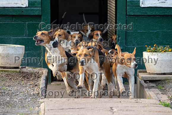 South_Notts_Hound_Exercise_Kennels_5th_Oct_2024_009