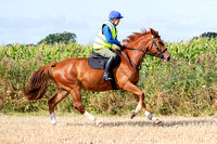 Grove_and_Rufford_Ride_Westwoodside_25th_Aug_2024_005