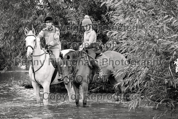 Grove_and_Rufford_Ride_Edwinstowe_13th_July_2024_005