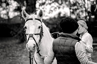 Midlands_Riding_Club_Thurvaston_20th_Oct_2024_002