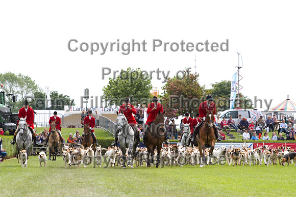 Lincolnshire_CS_Hounds_20th_June_2013_.257