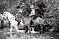 Grove_and_Rufford_Ride_Edwinstowe_13th_July_2024_009